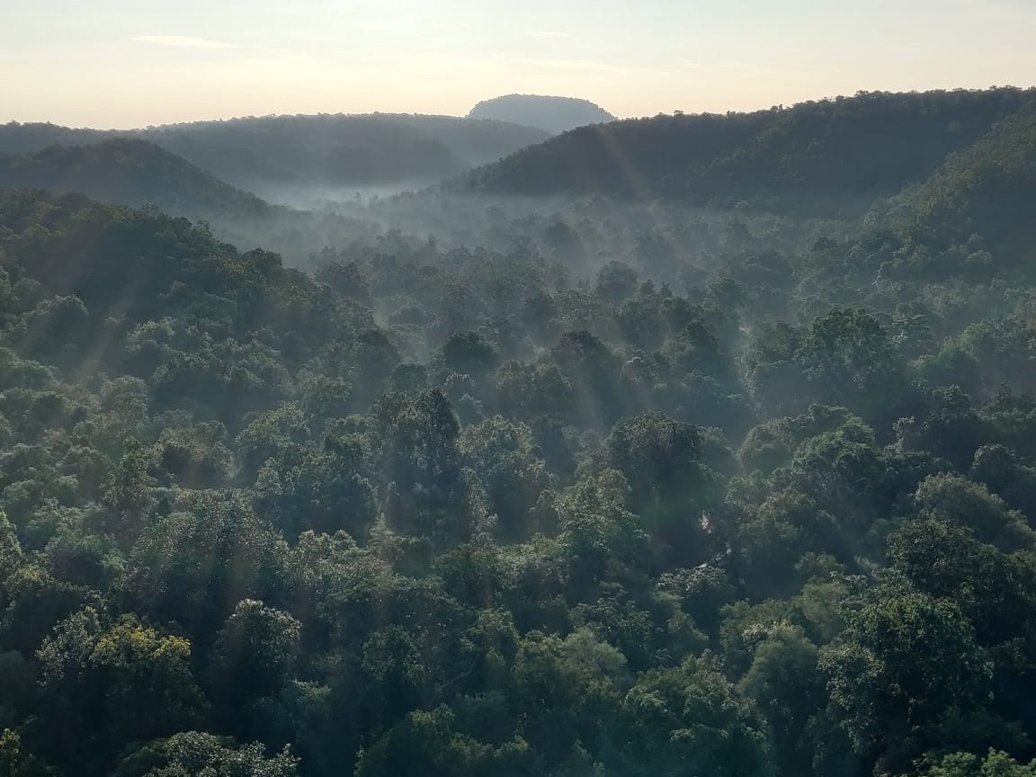 The Ultimate Travel Guide to Bandhavgarh National Park