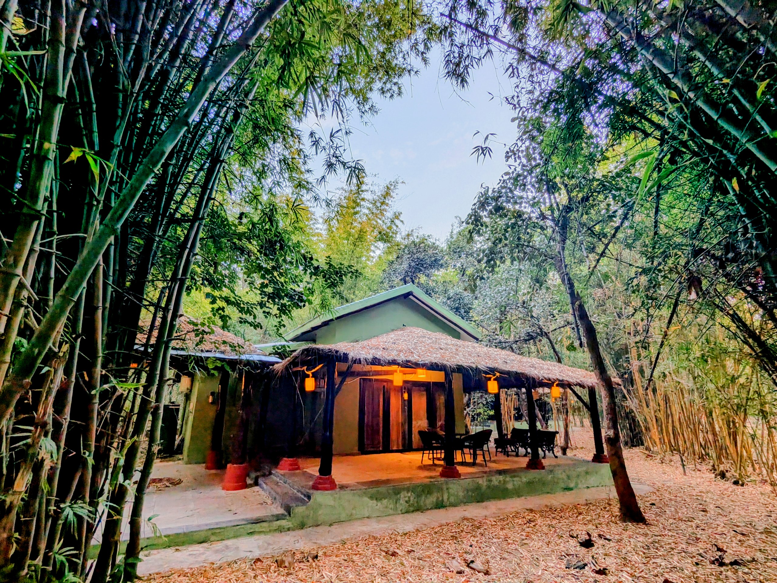 Best Hotels in Bandhavgarh